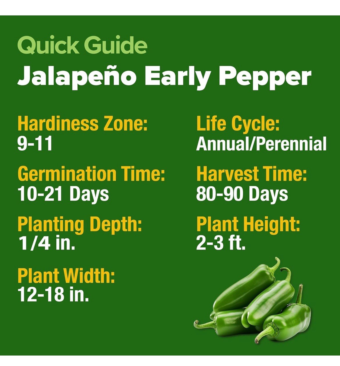 🍀Early Jalapeno Pepper Seeds 25+ Hot Spicy Salsa Garden Heirloom Non-GMO 🇺🇸