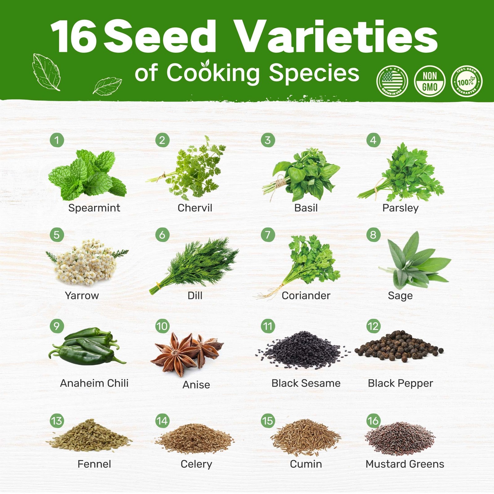 Herb Garden Kit 16 Varieties Cooking Spices Indoor Outdoor Planting Gift