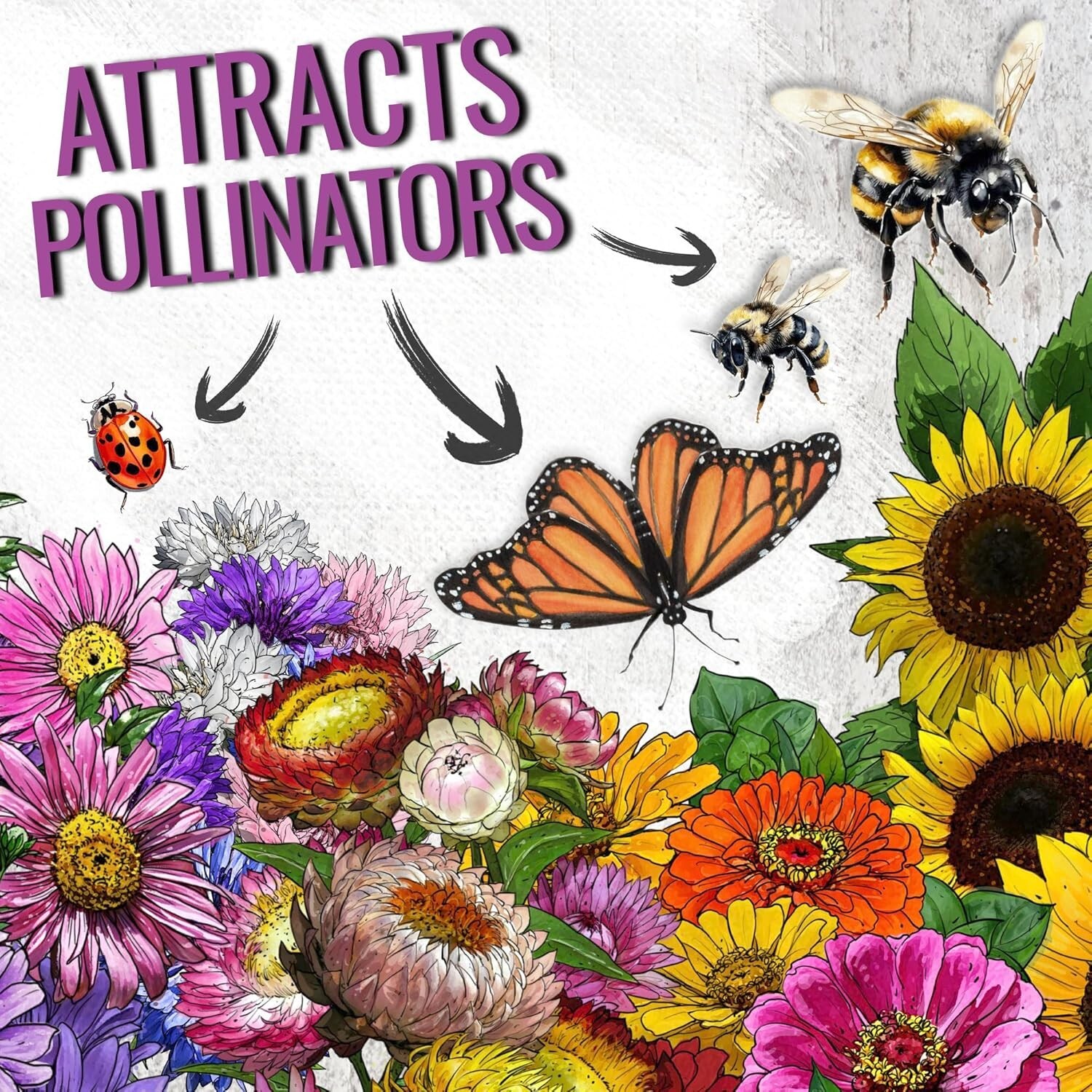 Colorful Wildflower Seed Collection – Attract Pollinators | 1 Oz Heirloom Seeds