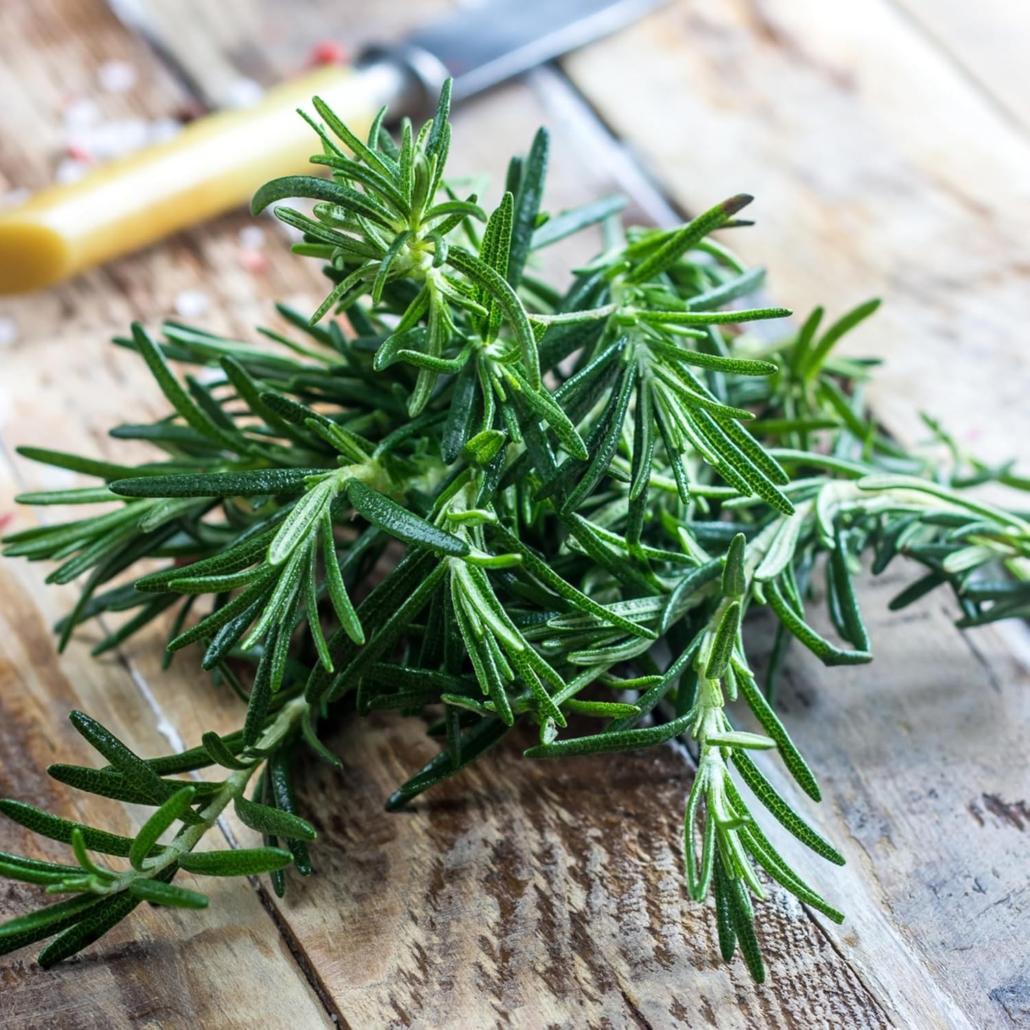 Fresh Rosemary Seeds – Non-GMO, Untreated, Ideal for Medicinal & Culinary Uses