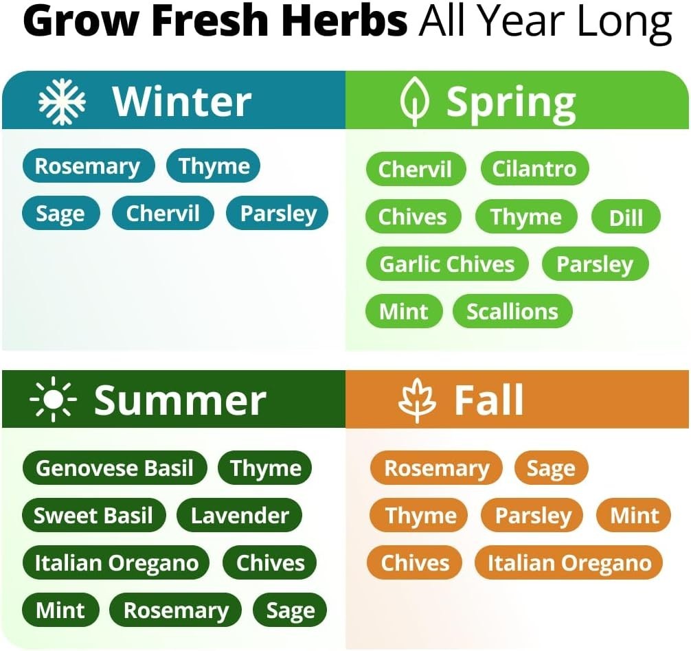 Complete Herb Garden Kit – 15 Heirloom Seeds for Home & Hydroponic Growth