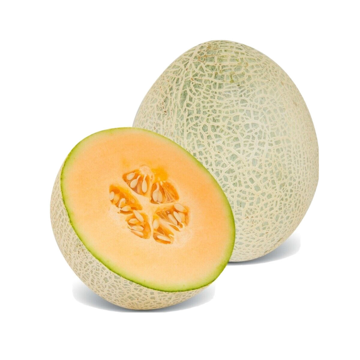 Hales Best Jumbo Cantaloupe Melon Seeds | Non-GMO | Bulk Garden Seeds USA