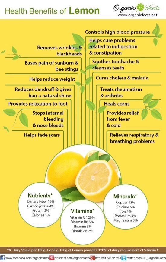 5 Meyer Lemon 🍋 Seeds Organic NonGmo Pesticide Free Citrus Garden Fruit Tree