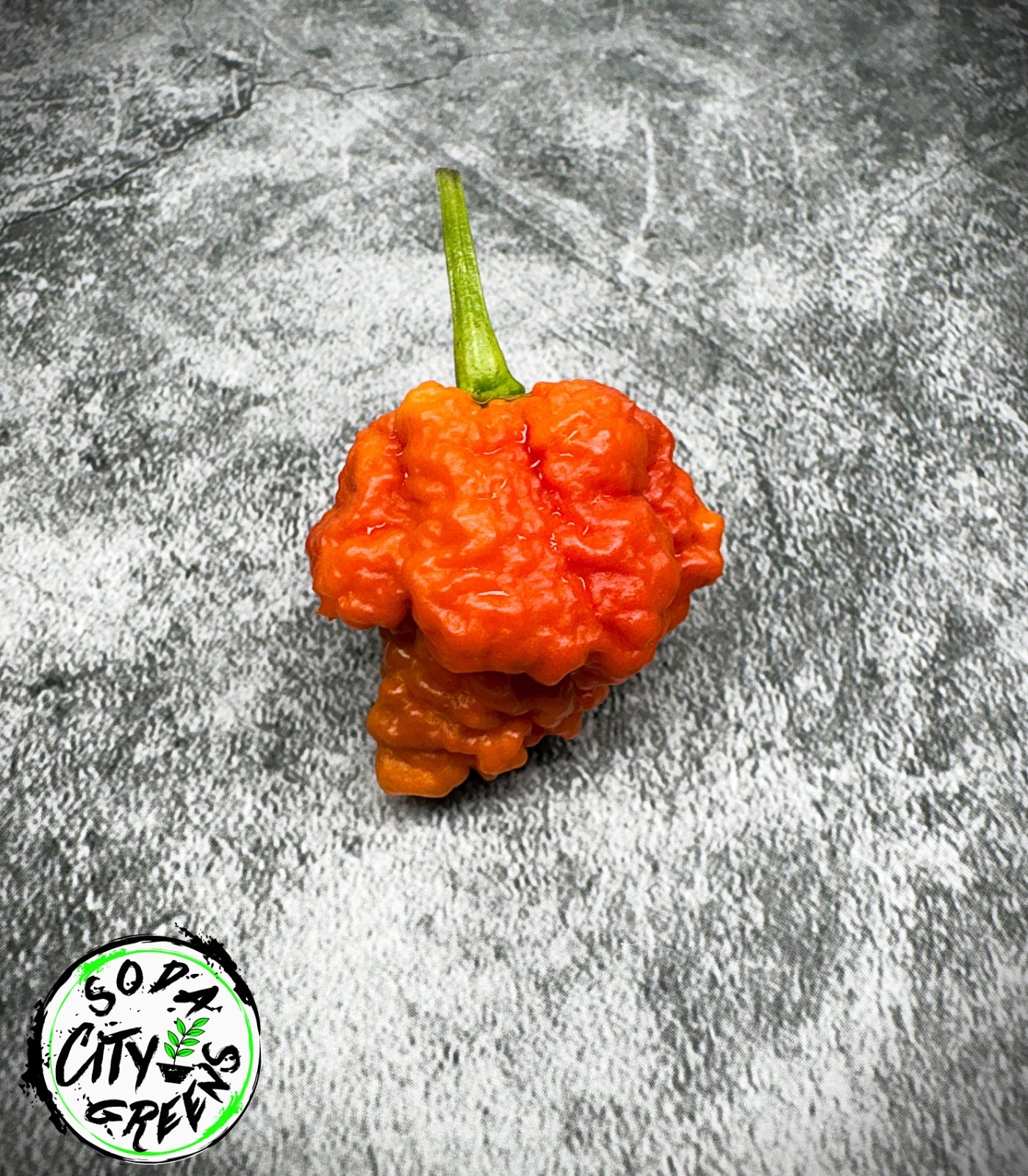 RB003 Pepper Seeds