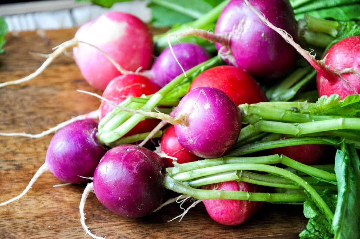 Easter Egg Mix Radish Seeds | Rainbow Radishes USA Garden Vegetable Seed 2024