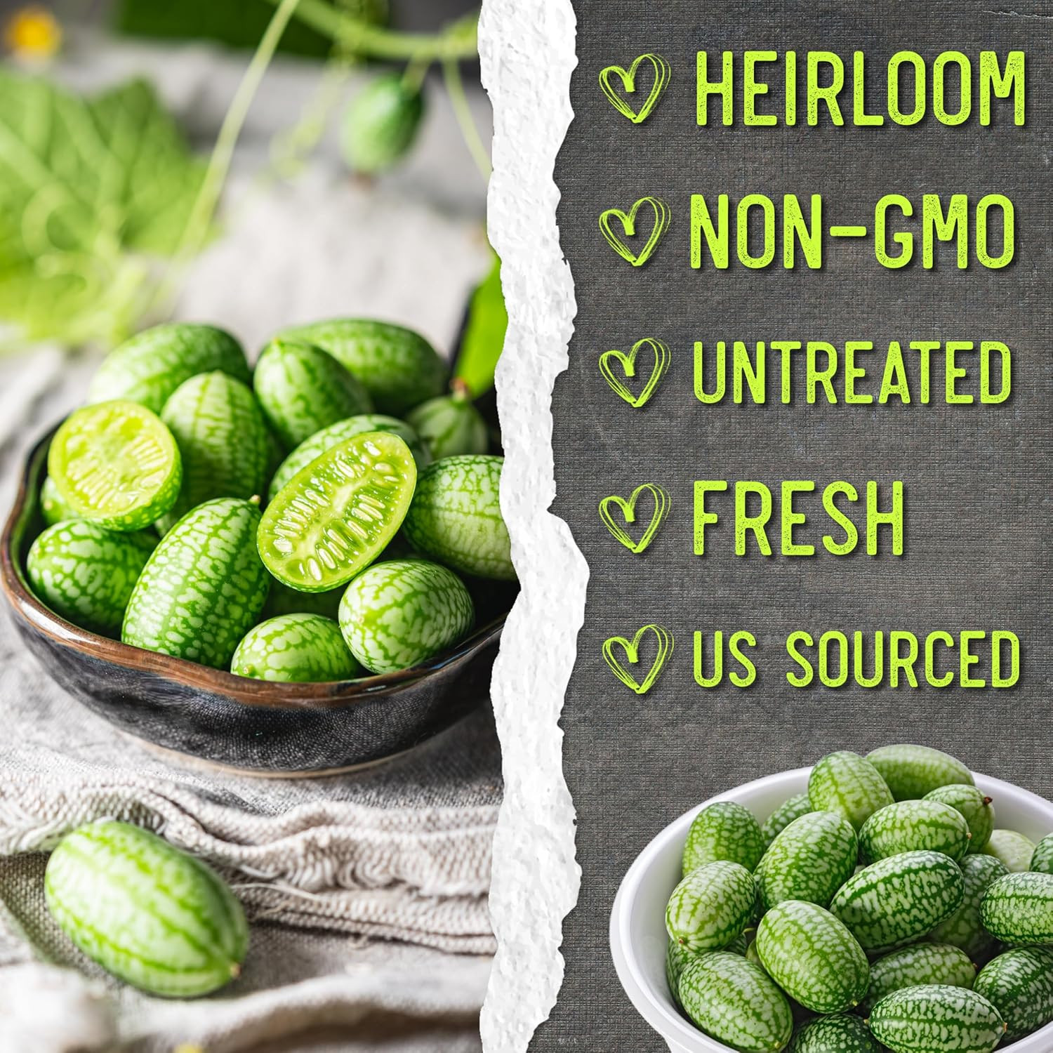 Seed Needs Cucamelon Seeds for Planting Mexican Sour Gherkin Miniature Mouse Mel
