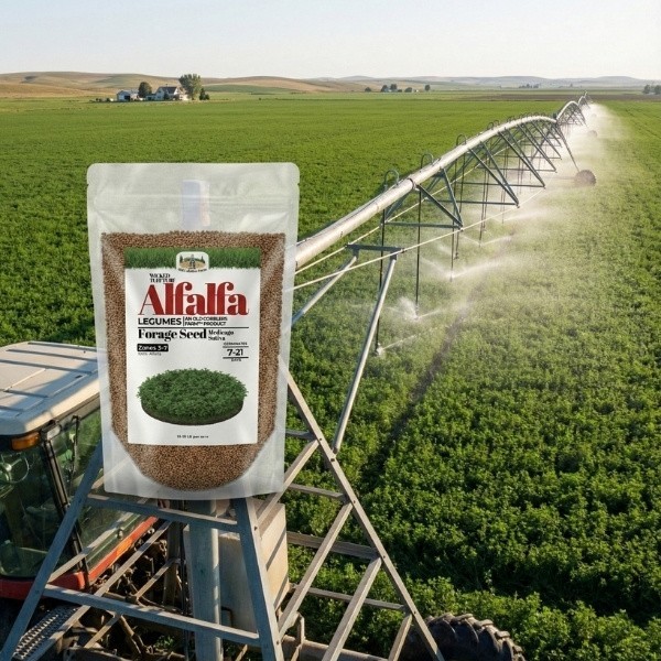 Old Cobblers Farm™ Wicked Tuff Turf Freedom Alfalfa Seed – High-Yield Forage