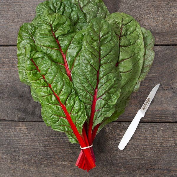 Rhubarb Swiss Chard Seeds (60) / EASY / HEIRLOOM / FLORIDA / HEAT TOLERANT