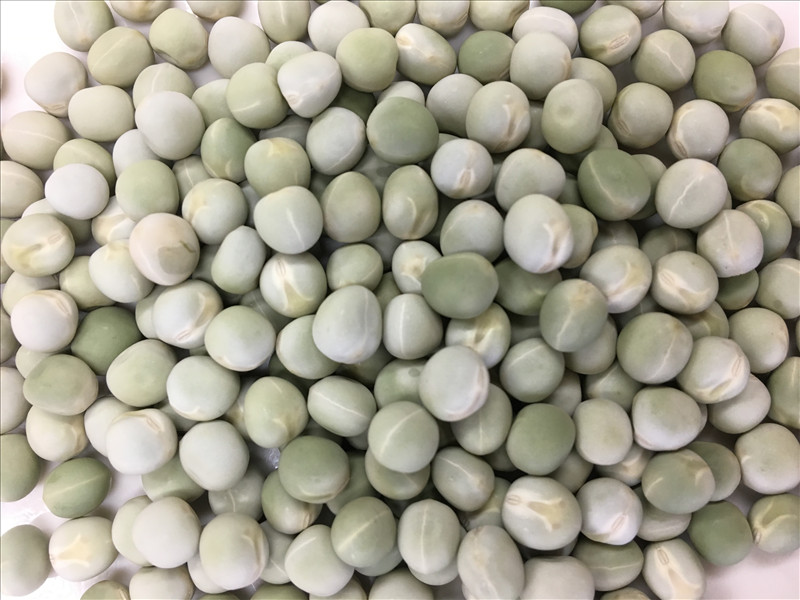 Vale Field Pea Seed Food Plot Cover Crop Annual Growth 5 Lbs. Bag NEW