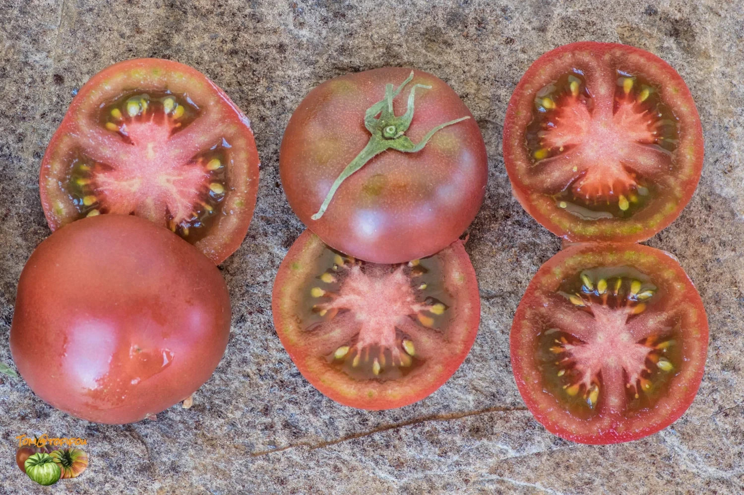 10 seeds Dwarf Velvet Night Tomato Purple cherry ORGANIC Rare Variety DTP