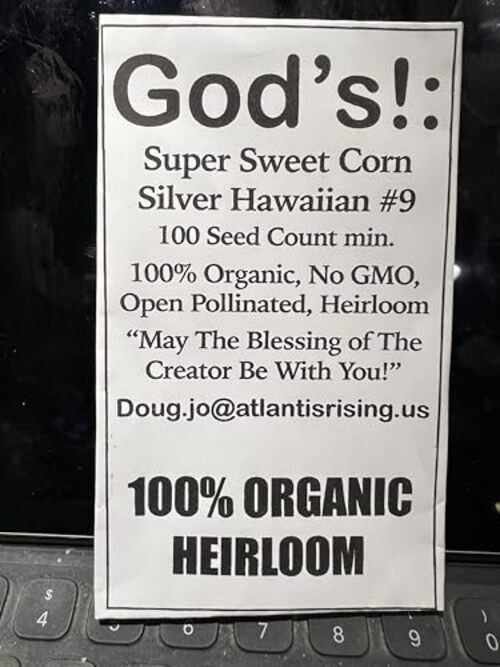 100% Organic, Silver, Hawaiian #9, Super, Sweet Corn, Heirloom, Open
