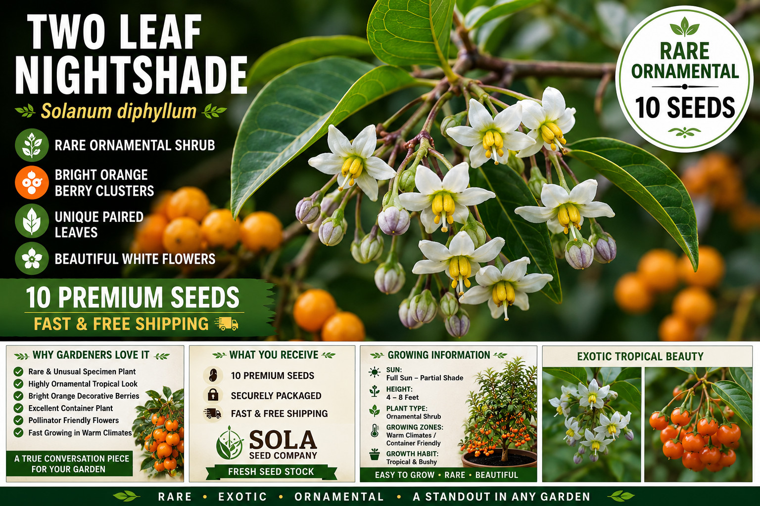 20 Rare Two-Leaf Nightshade Seeds- Highly Ornamental Perennial Shrub- USA