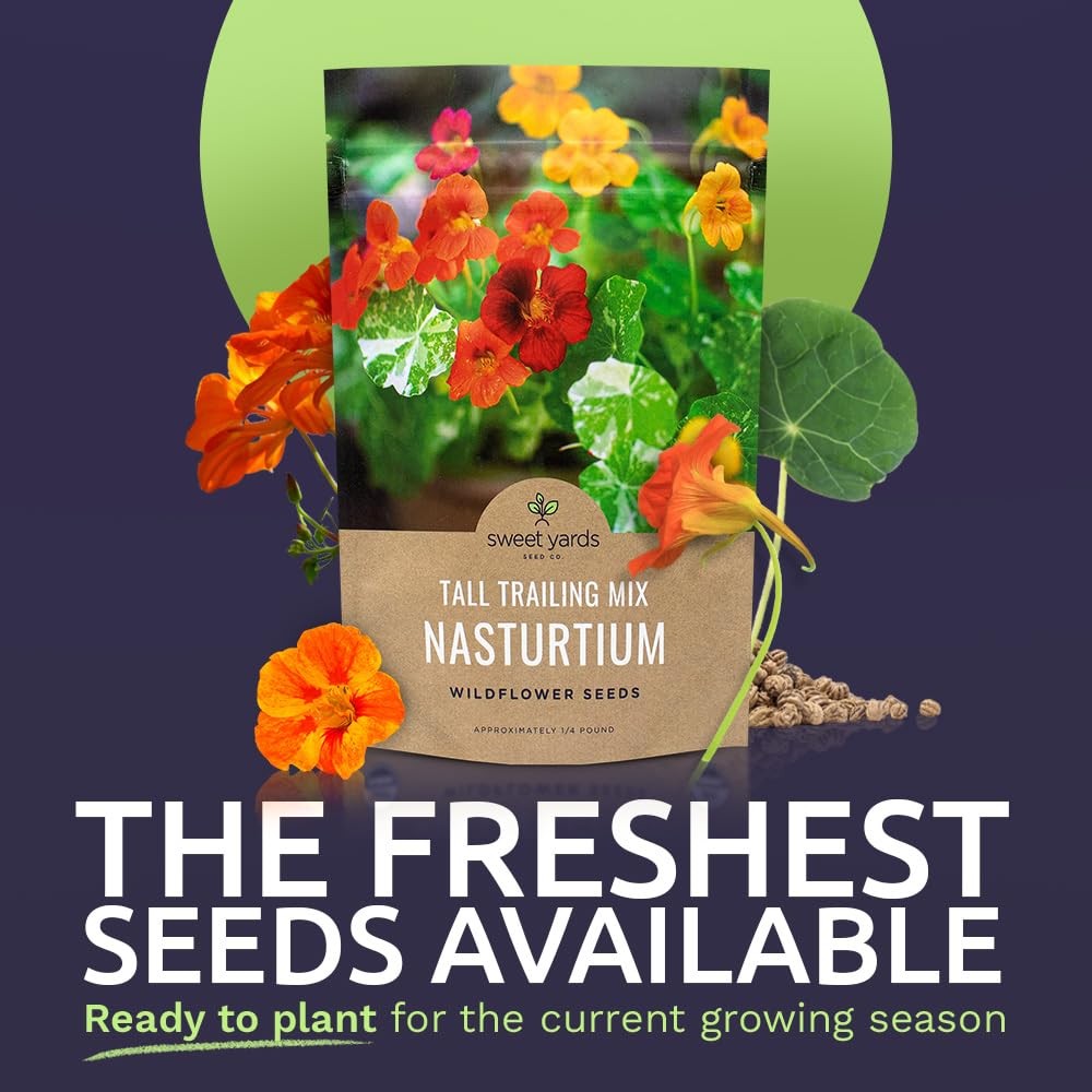 Mixed Colors Nasturtium Seeds, Bulk 1/4 Pound Bag, Over 900 Non-GMO Seeds