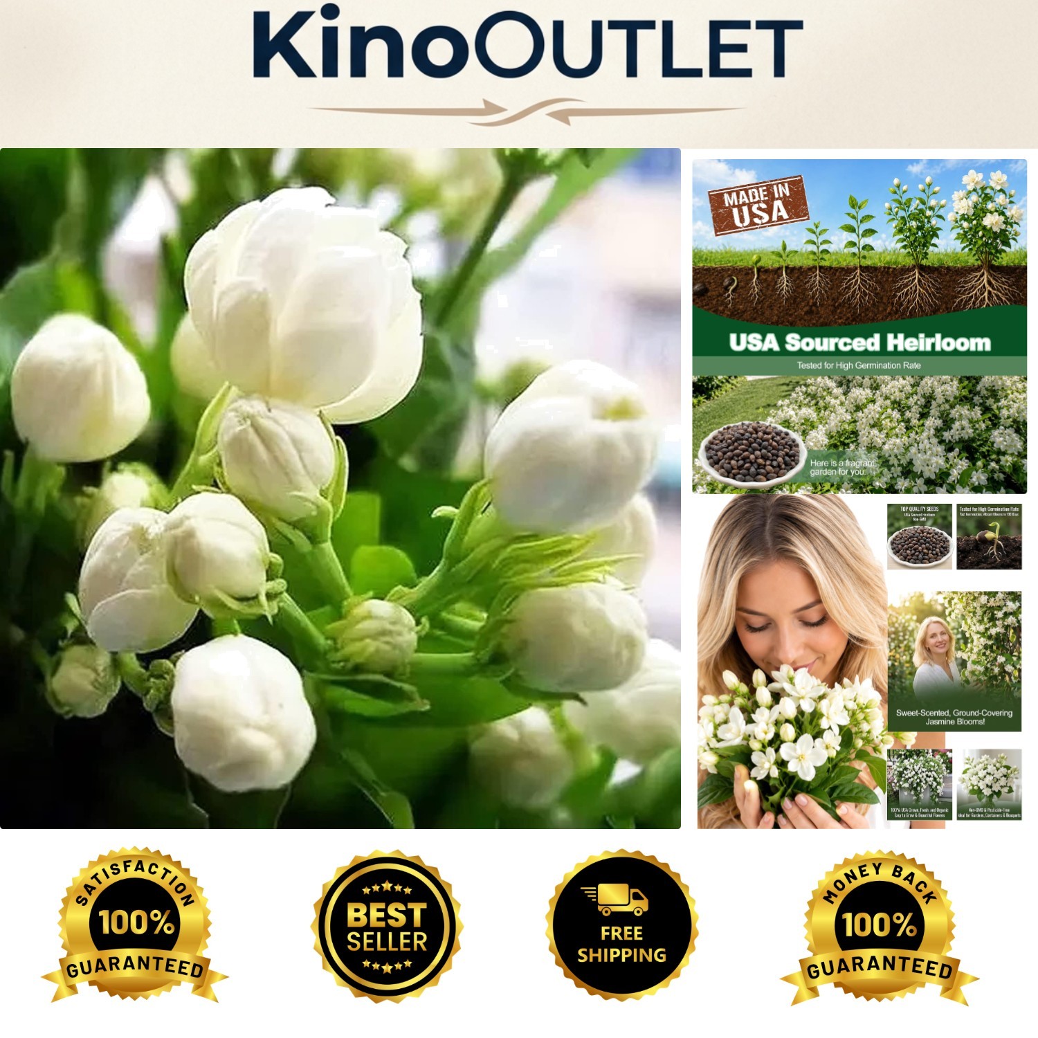 100 Jasmine Seeds for Indoor/Outdoor Planting – Scented Evergreen Climbing