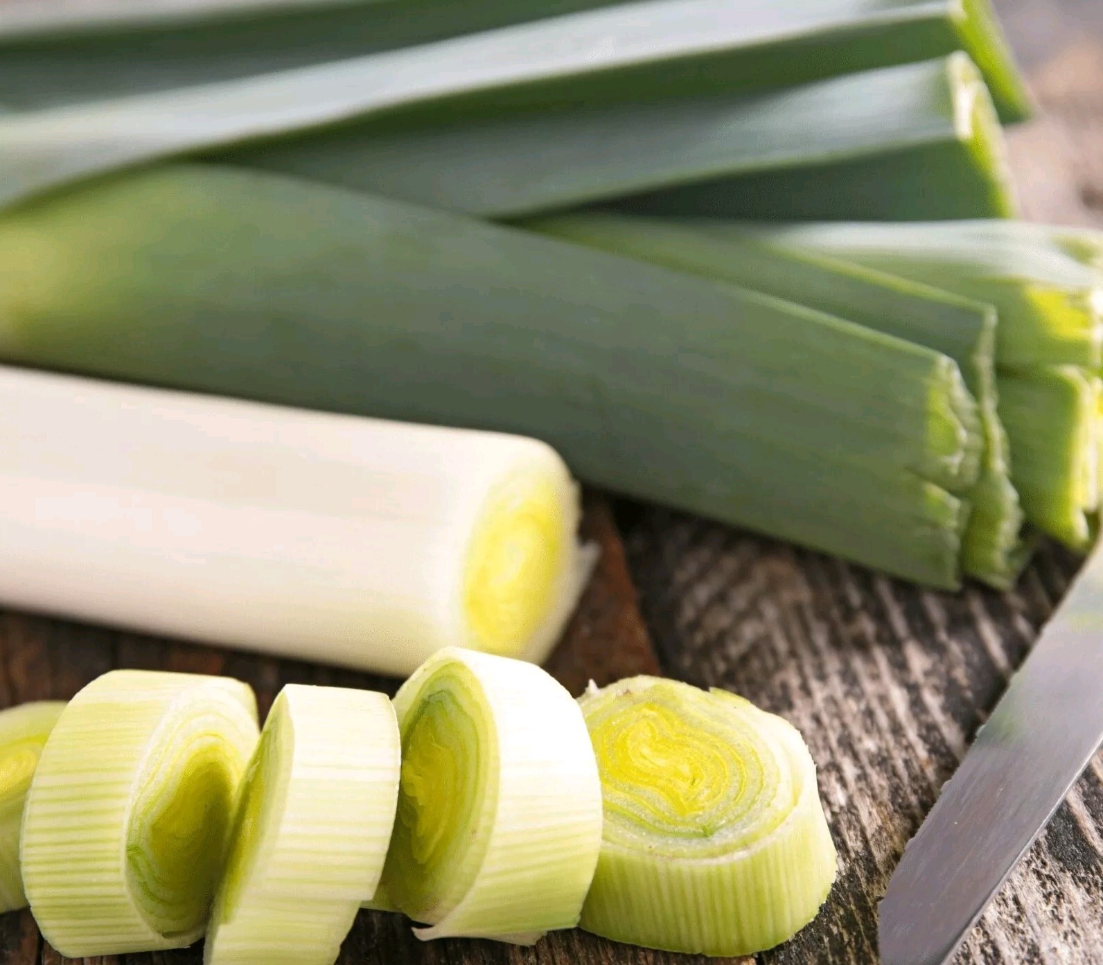 250 Organic Non-GMO Giant Mussleburgh Leek Seeds- Seeds Of Tomorrow