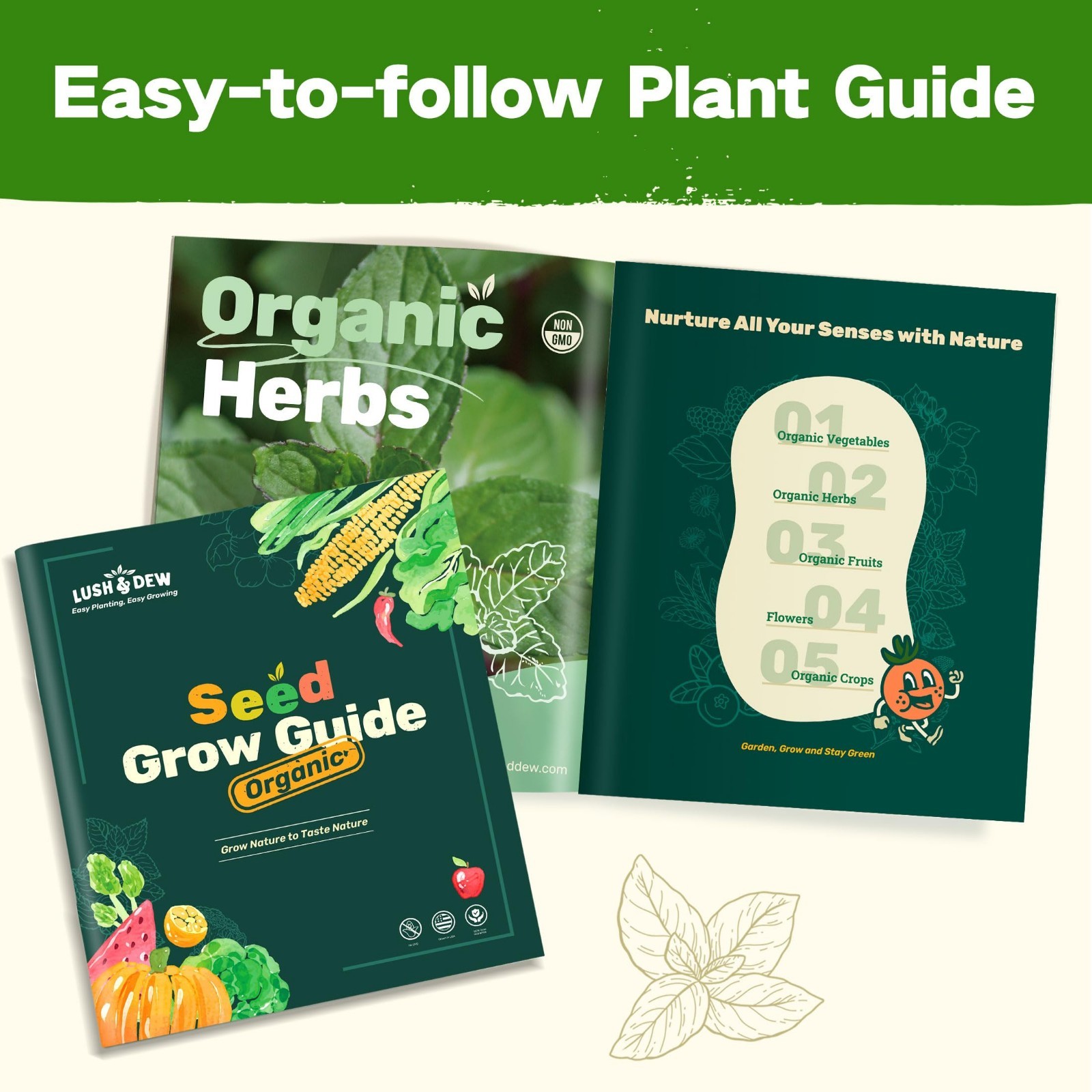 32 Non-GMO Heirloom Seed Varieties – Year-Round Vegetable & Herb Garden Kit, Sur