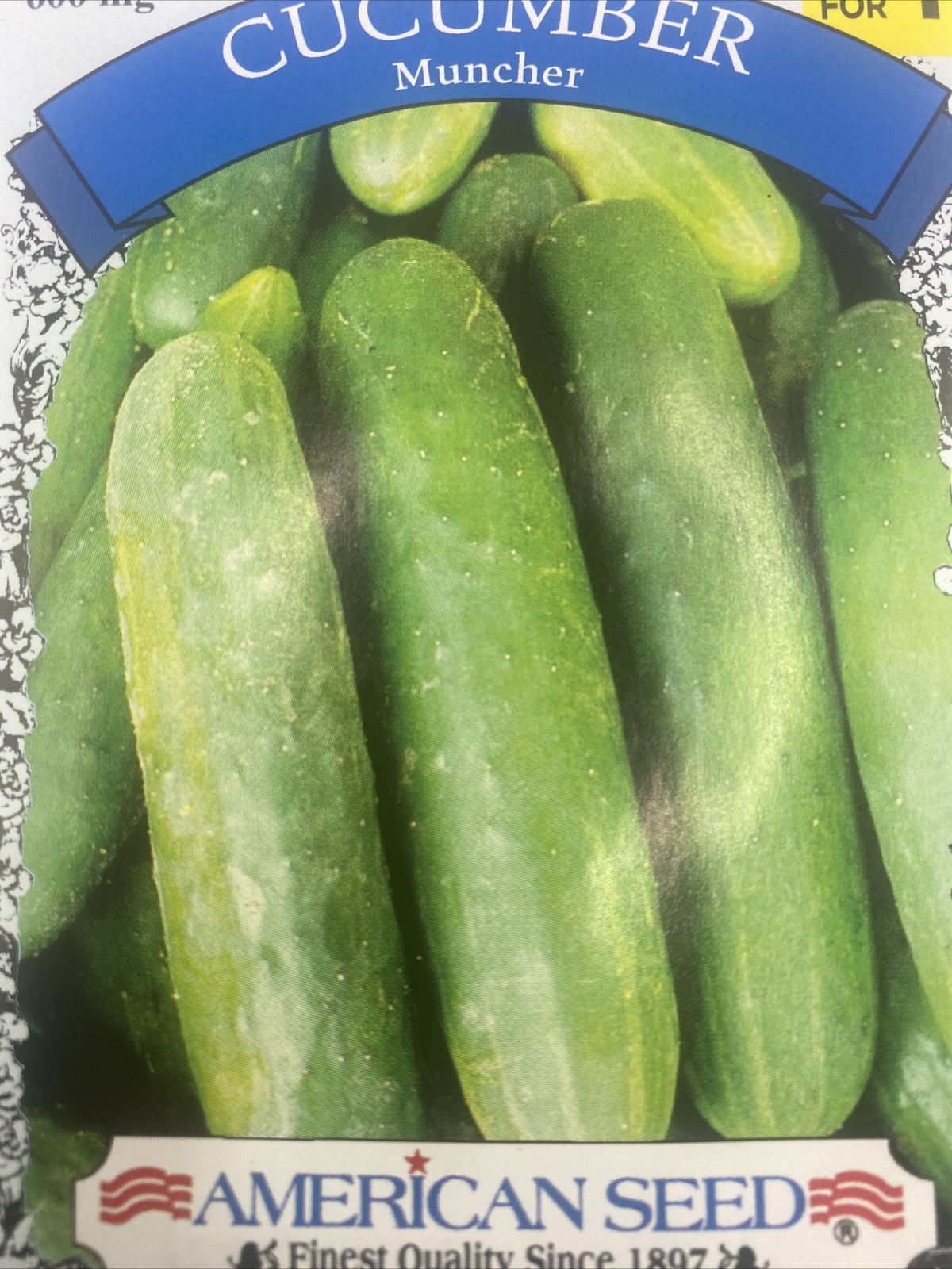 Cucumber Seeds muncher Fresh veggie Garden Seeds packed for 2022 (1) new