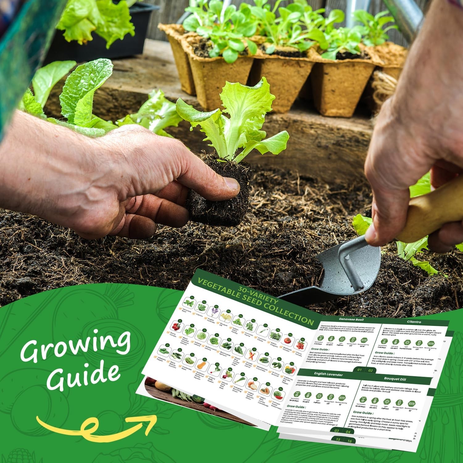 Heirloom Vegetable Seed Collection – 30 Non-GMO Seeds for Home Garden