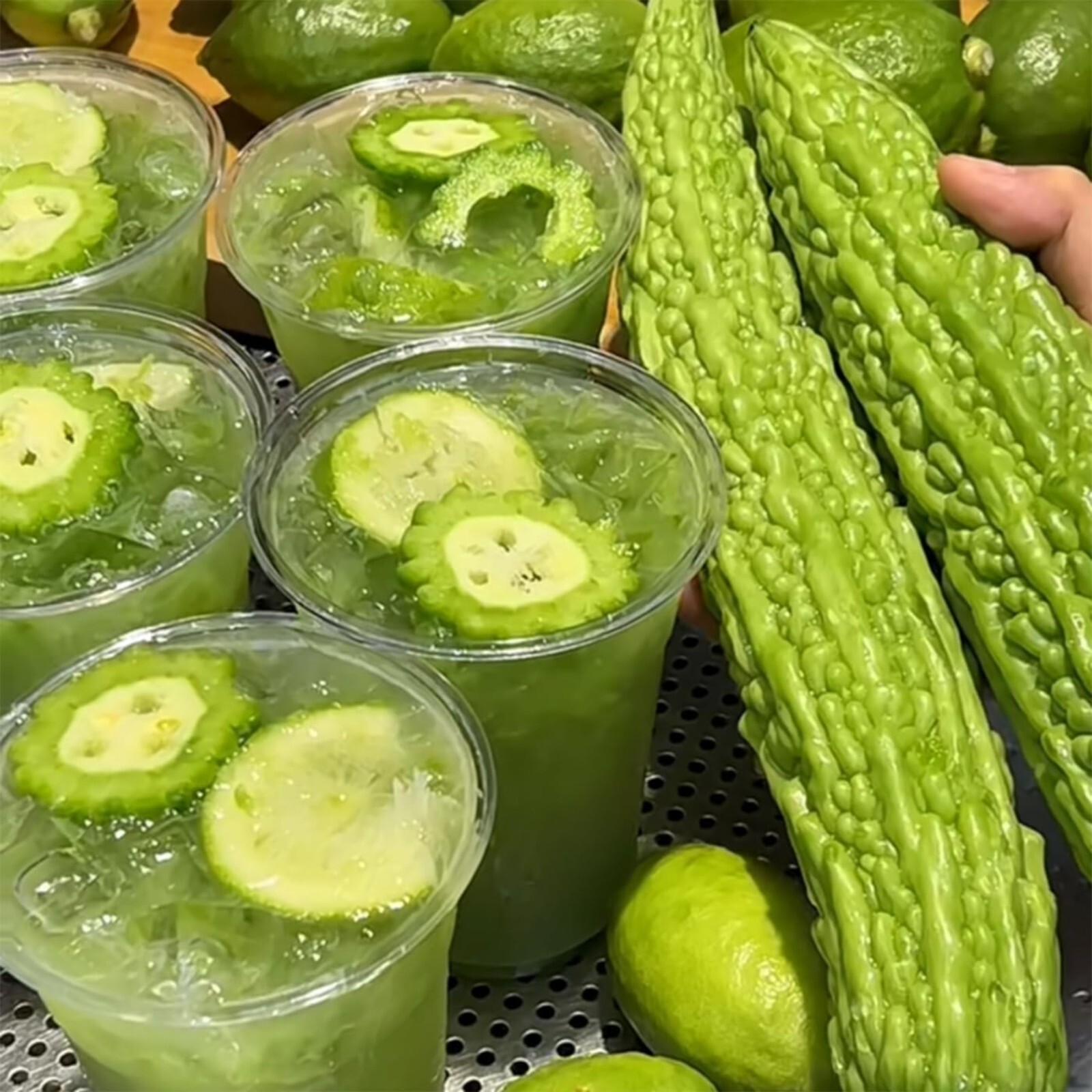 15pcs Bitter Melon Seeds – Fast-Growing Green Skin Bitter Gourd (Balsam Pear).