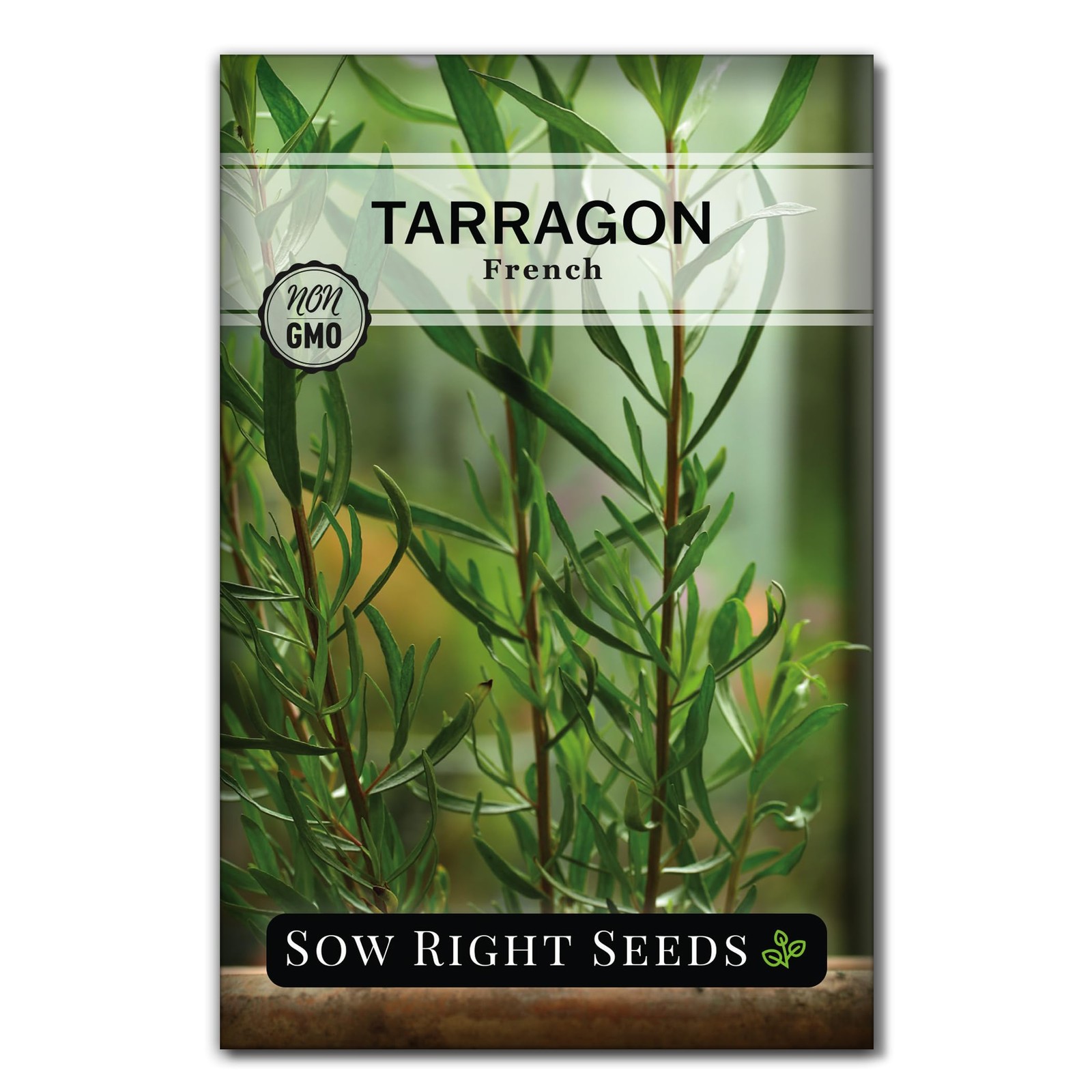 – French Tarragon Seeds for Planting – Non-GMO Heirloom Packet with Instructi…