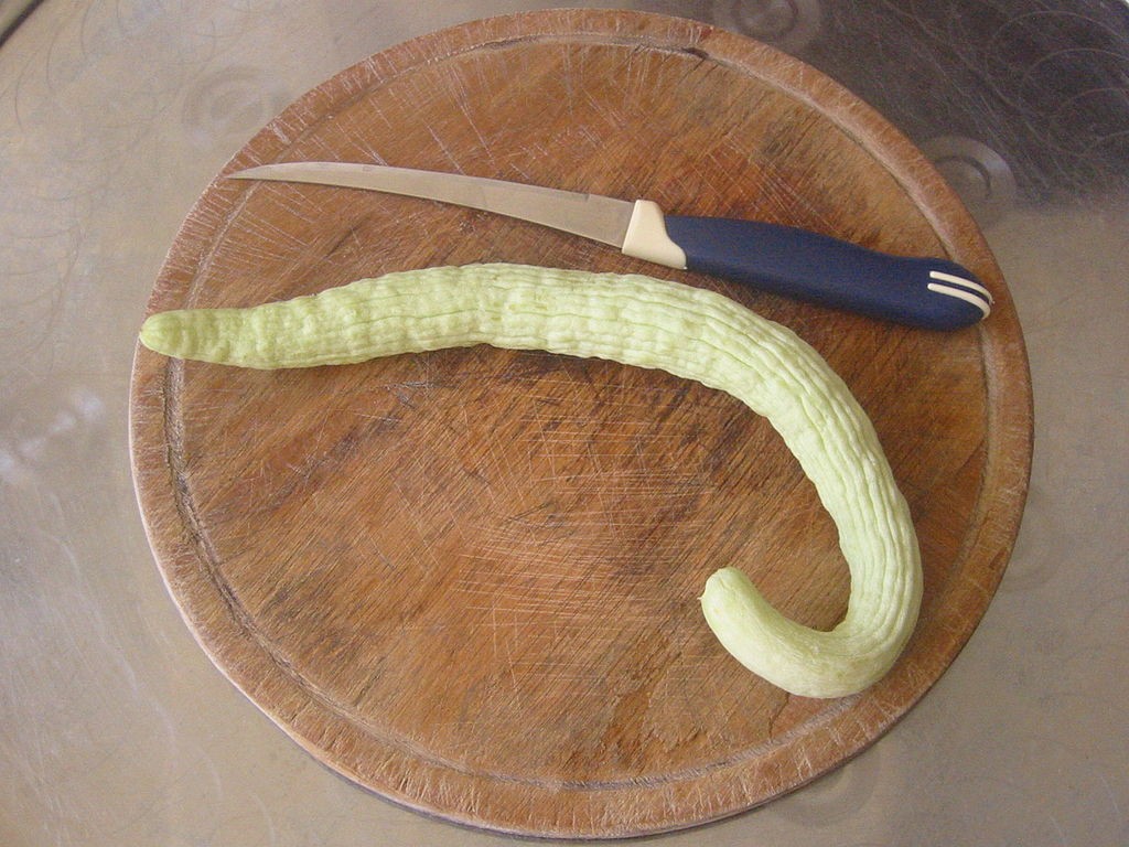 Armenian Cucumber Seeds | Yard Long Melon Persian Snake Pickle Asian Seed 2024