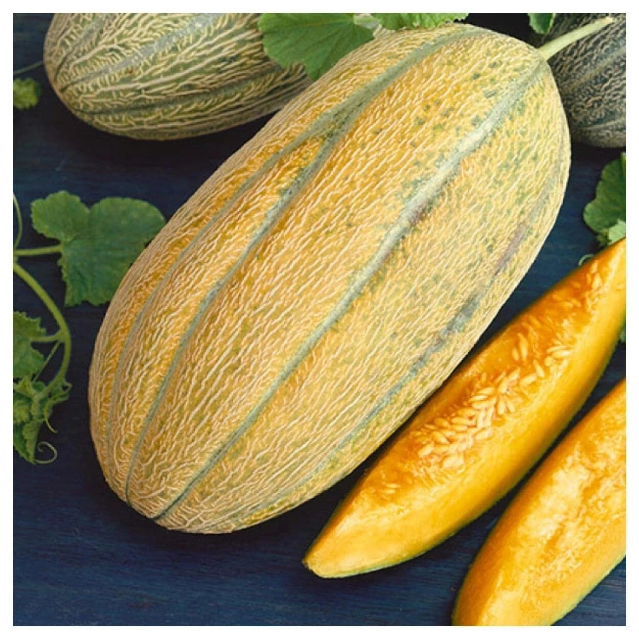 25+ Banana Melon Seeds, Banana Cantaloupe, FREE SHIPPING USA Seller
