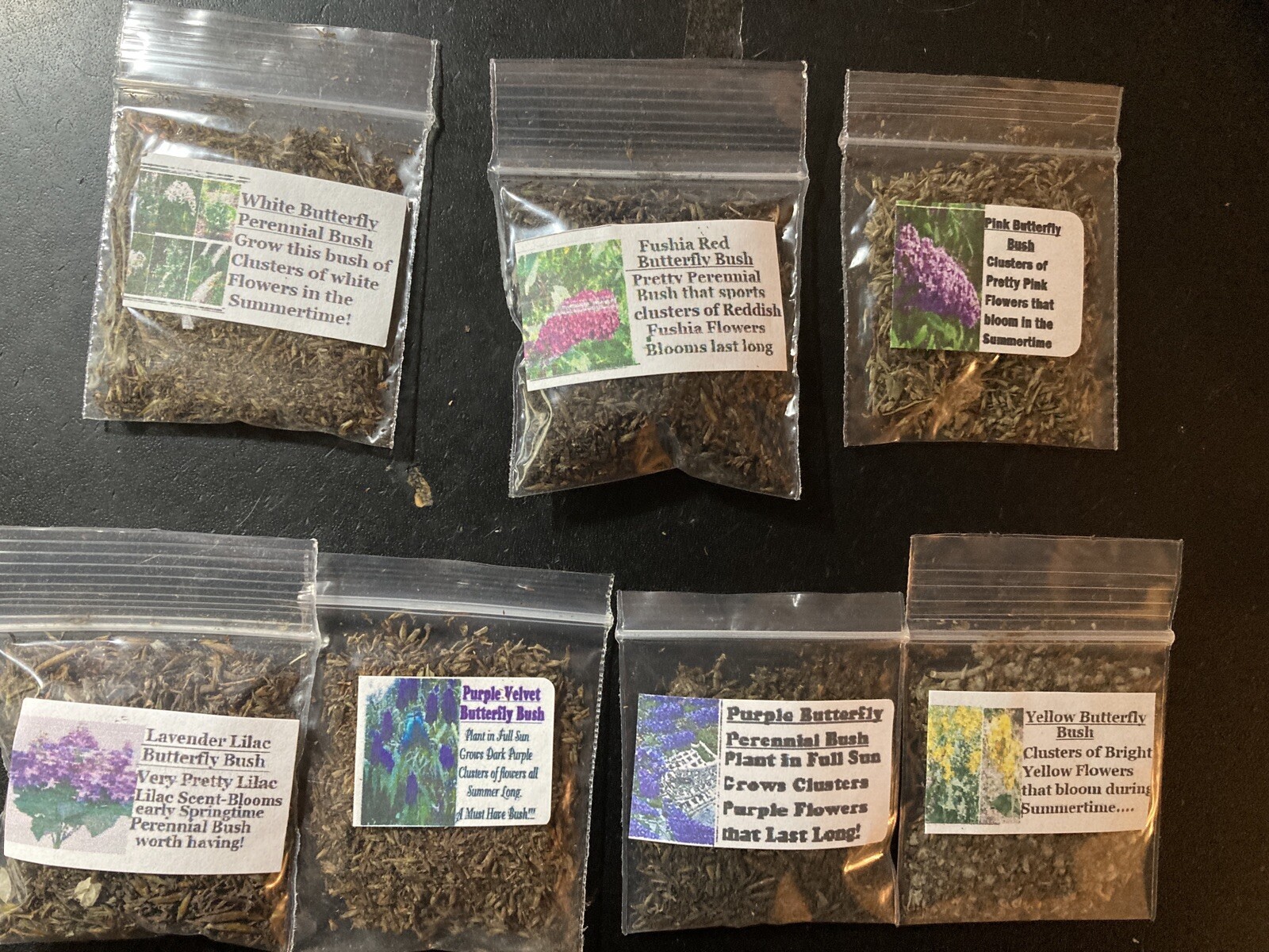 #50 Special Listing For 7 Different Kinds Of Butterfly Bush Seeds