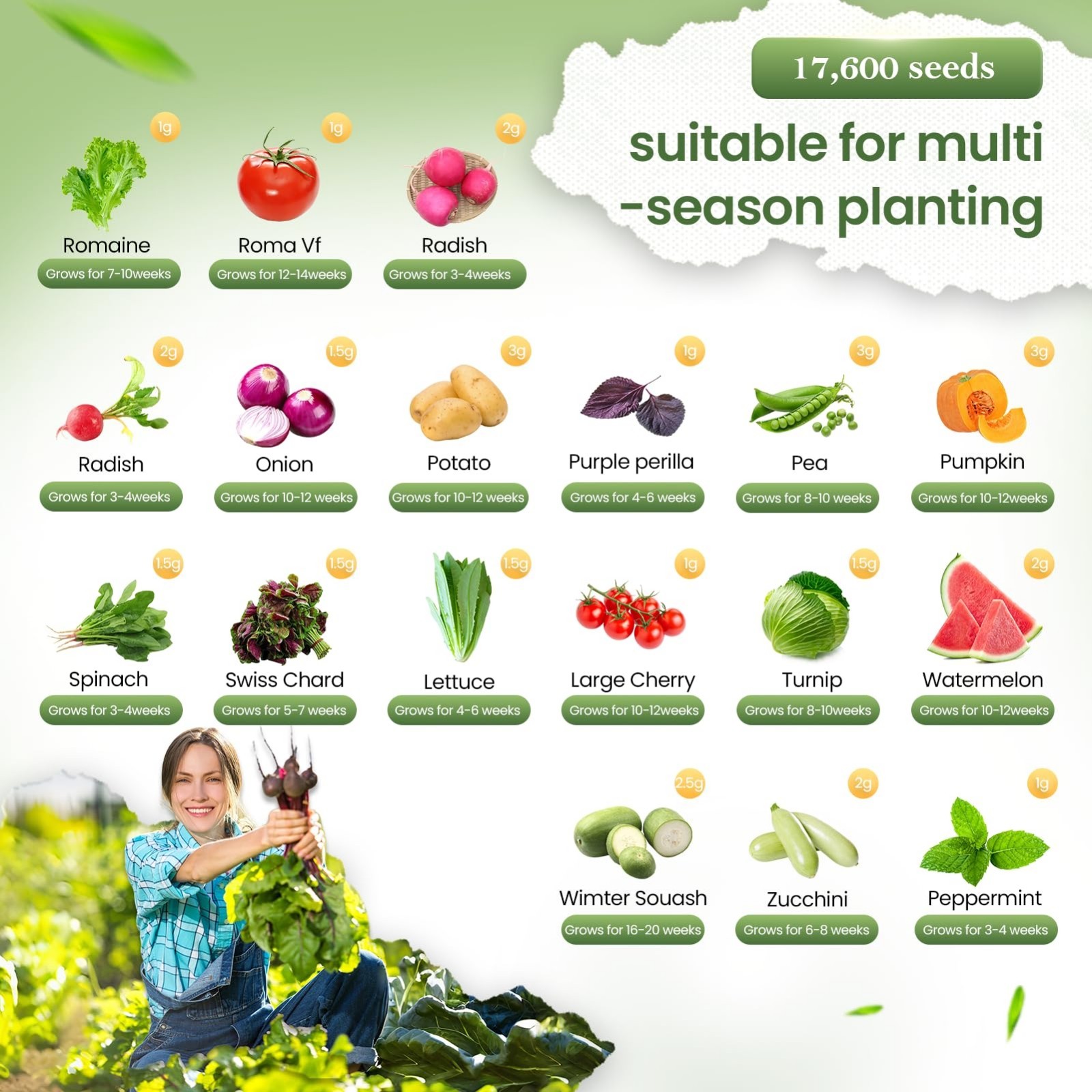 36 Vegetable Seed Variety Pack – 17,600+ Non-GMO Heirloom Seeds for Garden & Hyd