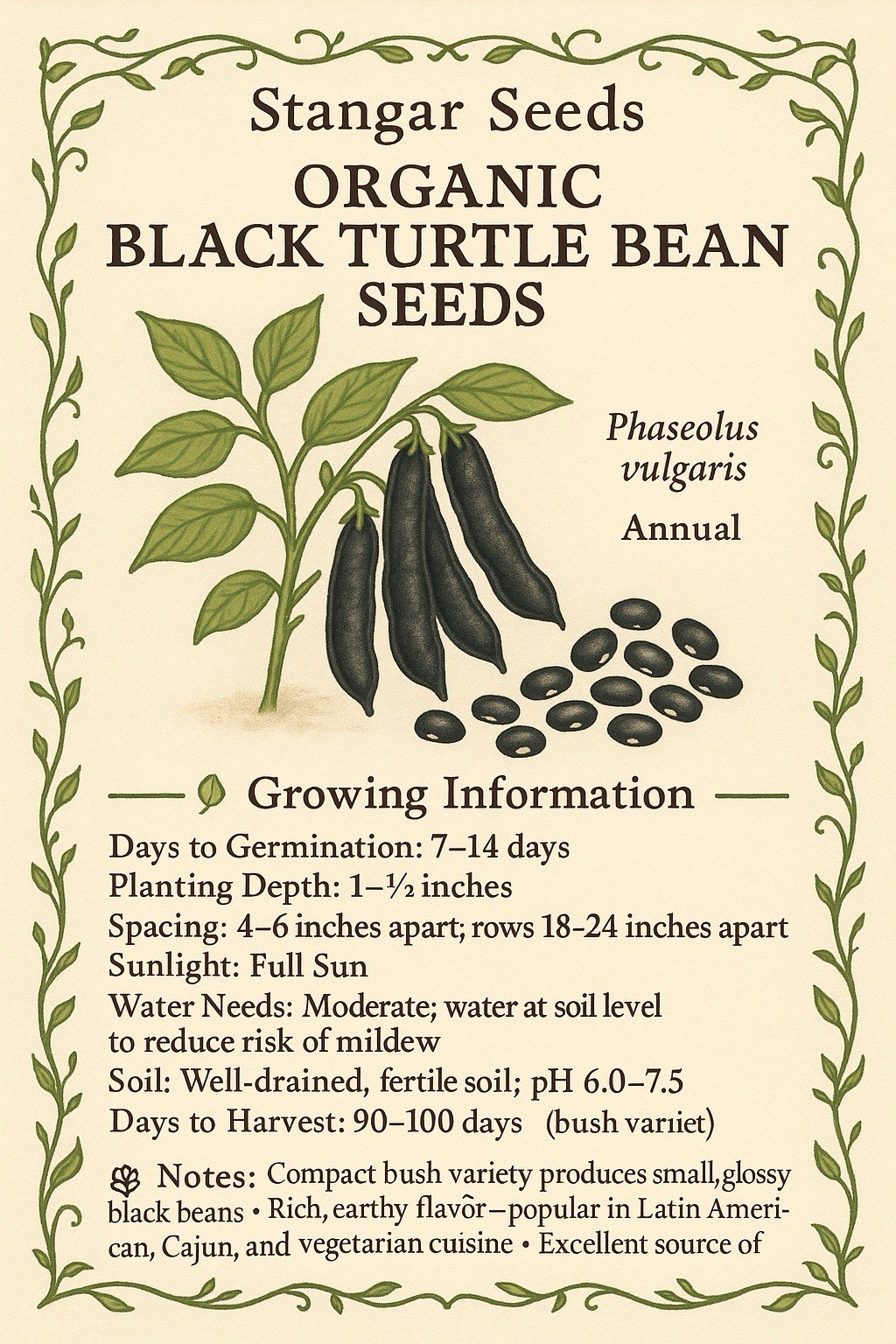 Black Bean Seeds | For Planting Mexican Frijoles Beans Black Turtle Seed 2026