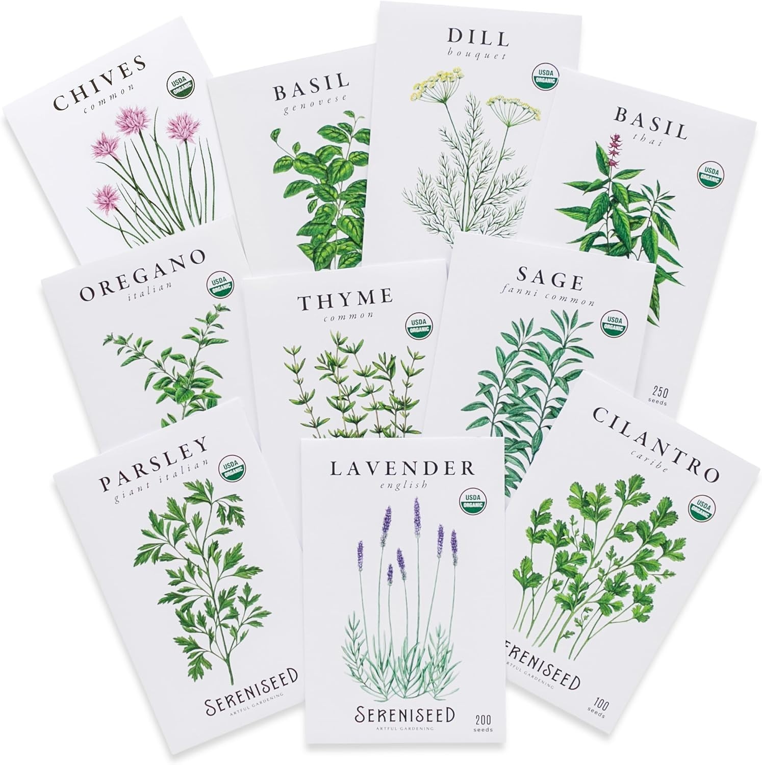 Certified Organic Herb Seeds 10-Pack – Non GMO, Heirloom – Seed Starting Vide…