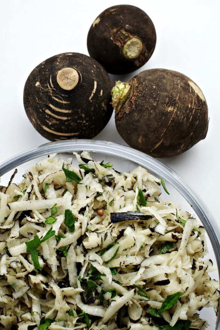 Black Spanish Round Radish Seeds | Raphanus Niger Winter Vegetable Daikon 2024