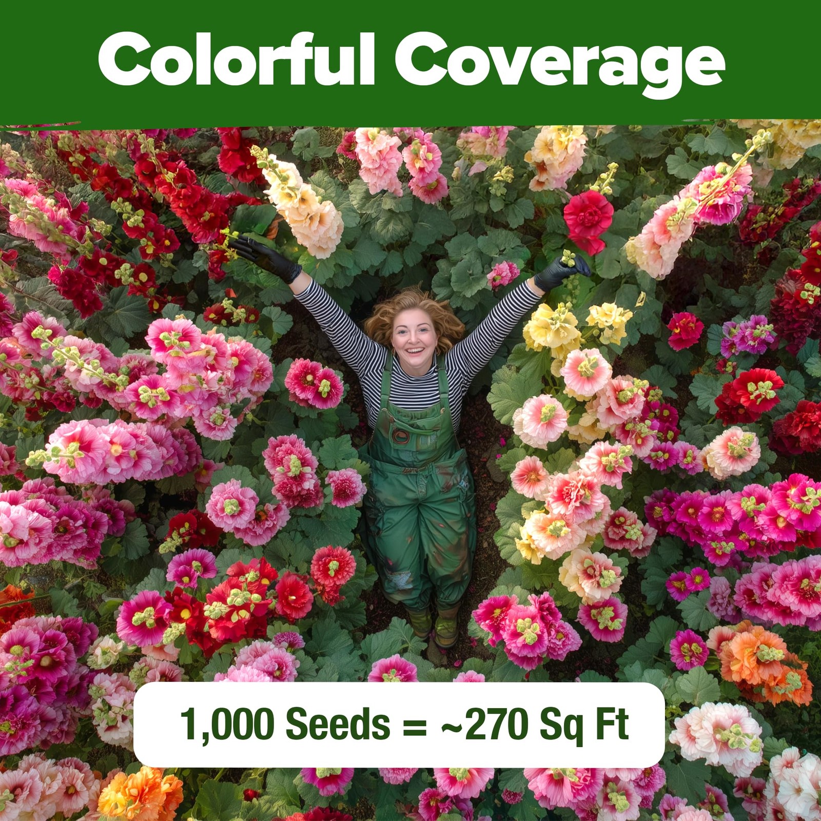 HOME GROWN Hollyhock Summer Carnival Mix Flower Seeds – Alcea 1-Pack, Multi