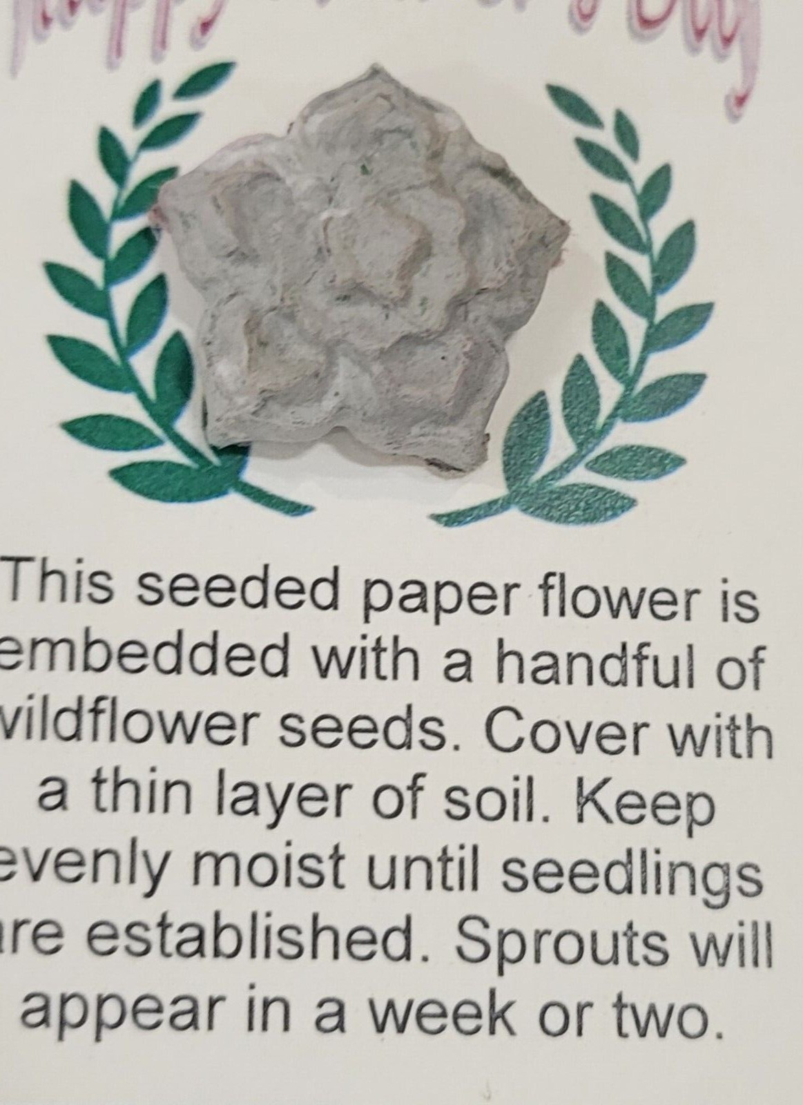 Wild Flower Seed Receptacle – Biodegradable