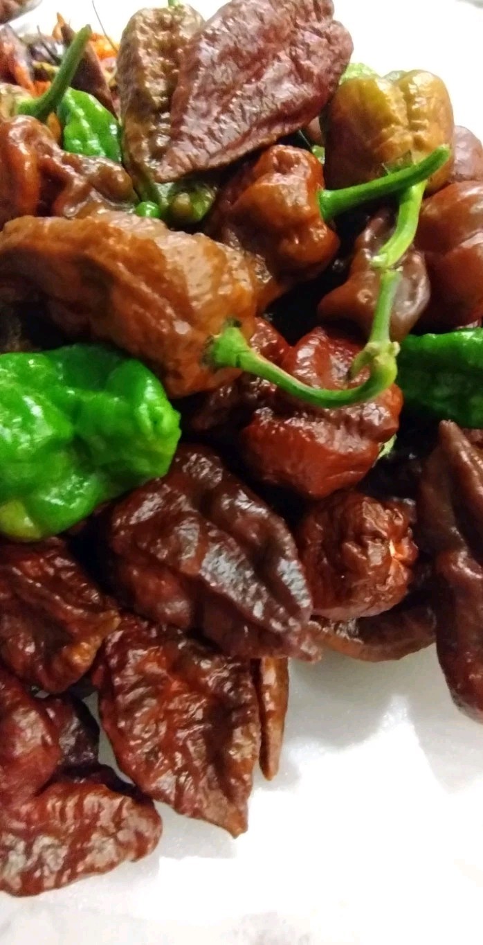 Chocolate Ghost Pepper (20 Seeds) Super Hot, Free Shipping