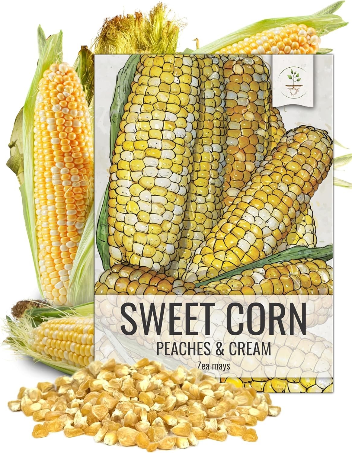Seed Needs Peaches and Cream Sweet Corn Seeds | 230+ Non Golden,Yellow