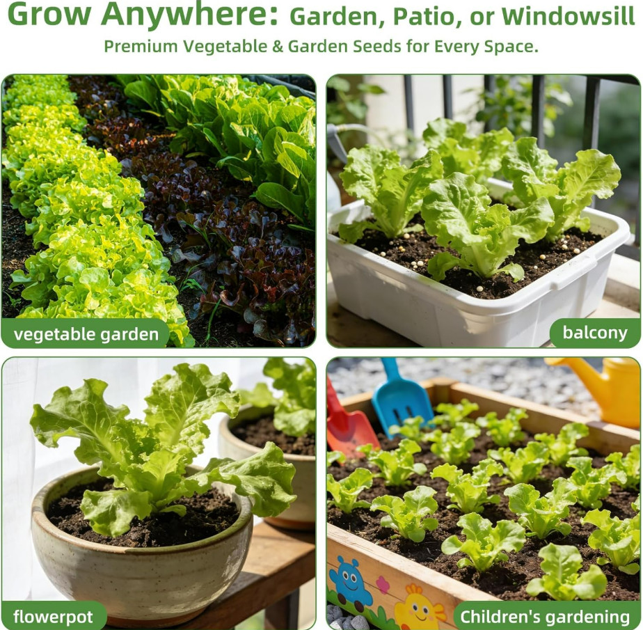 Heirloom Vegetable Seeds Kit, 15,000+ Non-GMO Seeds for Indoor & Outdoor Grow XL