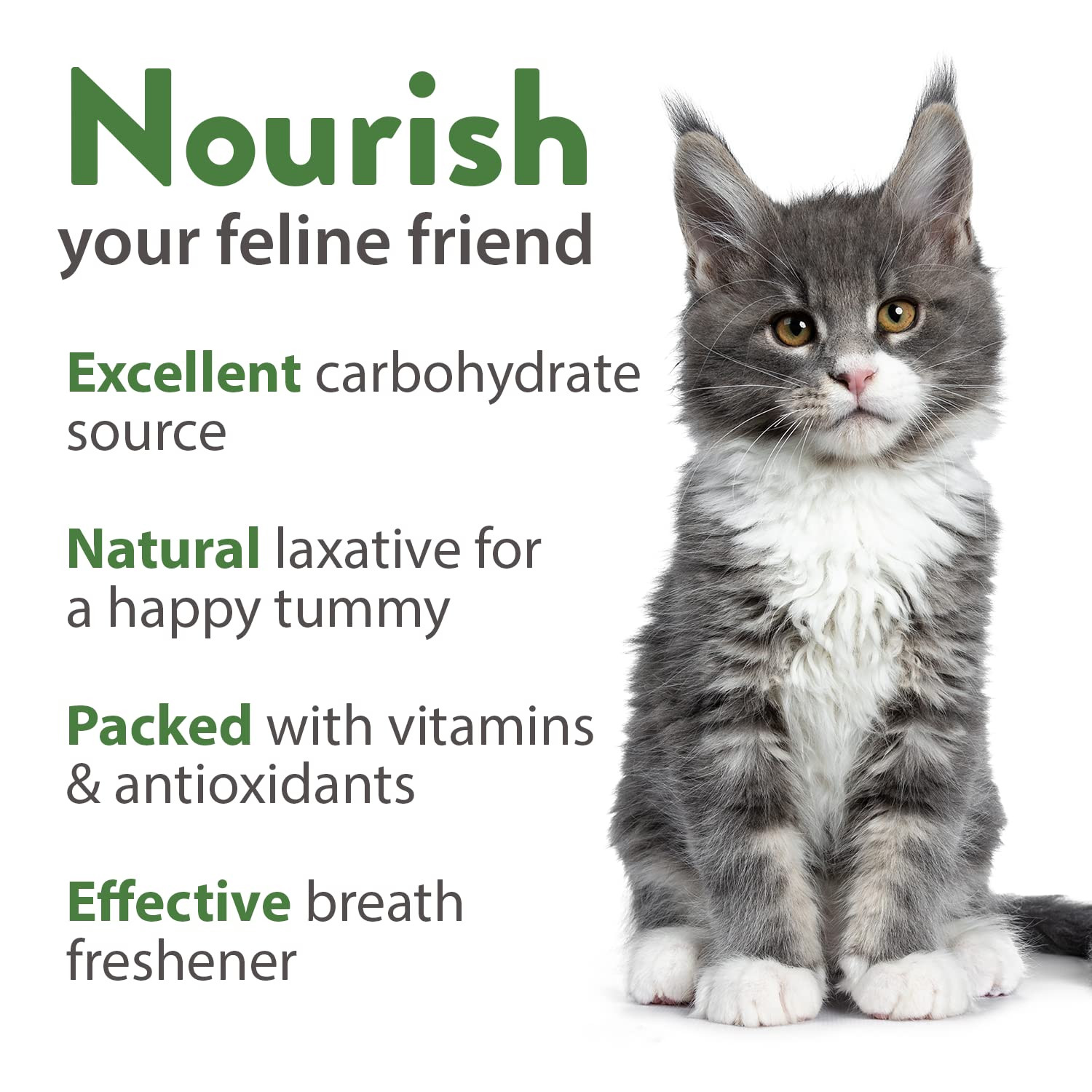 1 Pound Cat Grass Seeds for Indoor Cats & Pets – Ready to Eat in 7 Days – Qui…