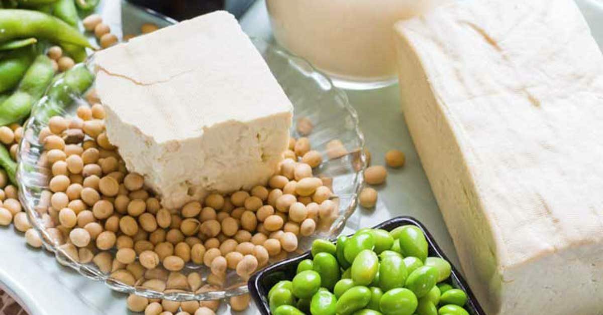 Bulk Soy Bean Seeds | USA Vegetable Soybeans Planting or Eating Cover Crop 2024