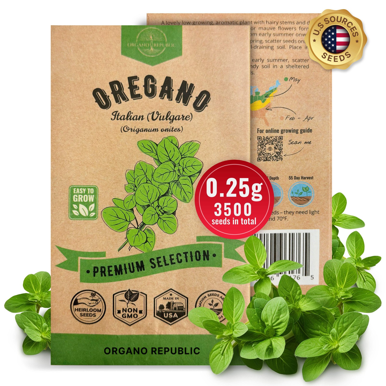 Italian Vulgare Oregano Seeds
