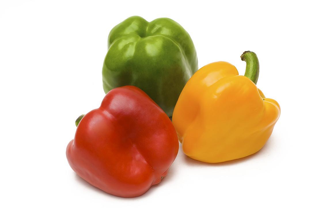 Fresh Organic Rainbow Bell Peppers Red, Yellow, Orange, and Green by RawJoy Farm