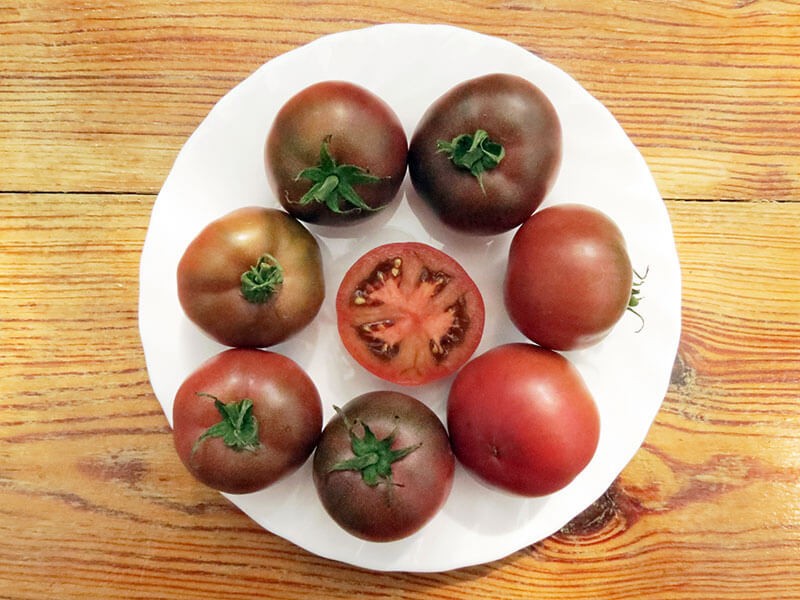10 seeds Dwarf Velvet Night Tomato Purple cherry ORGANIC Rare Variety DTP