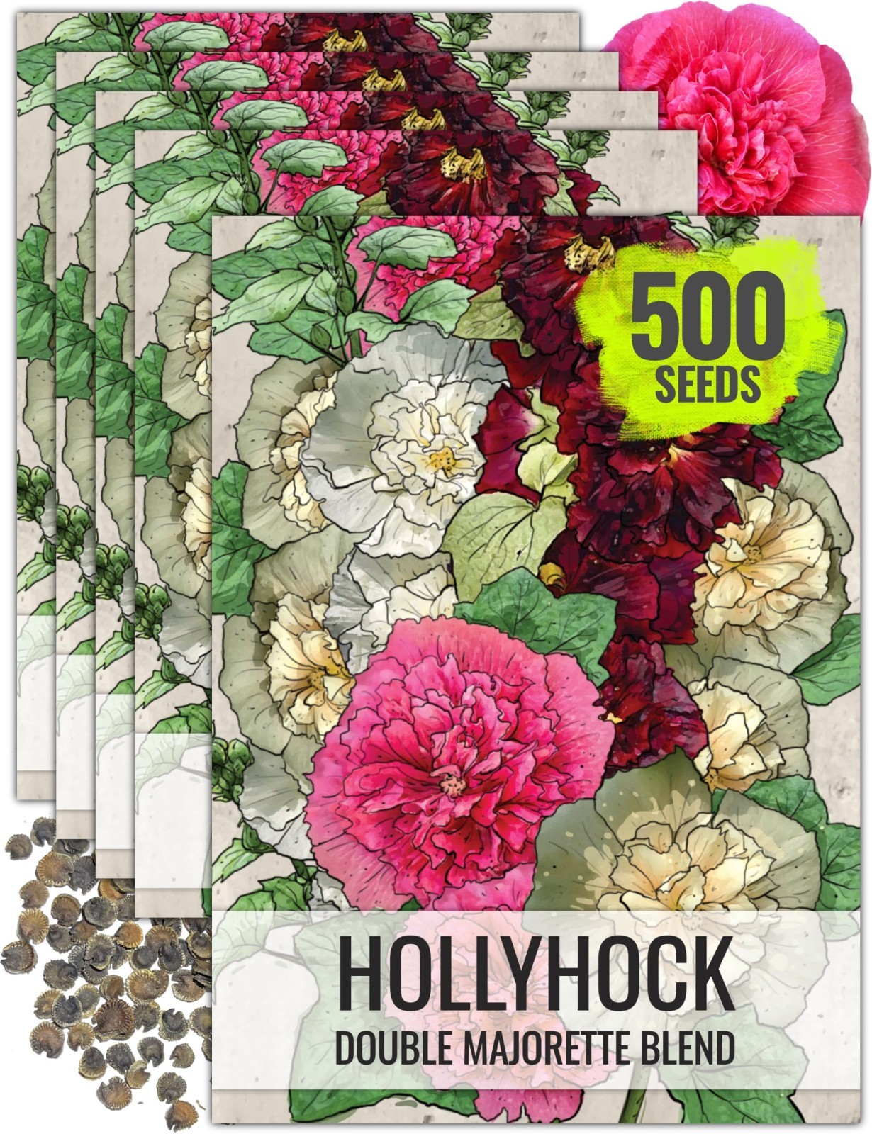 100 Heirloom Double Majorette Hollyhock Seeds – Mixed Biennial Flower for Garden