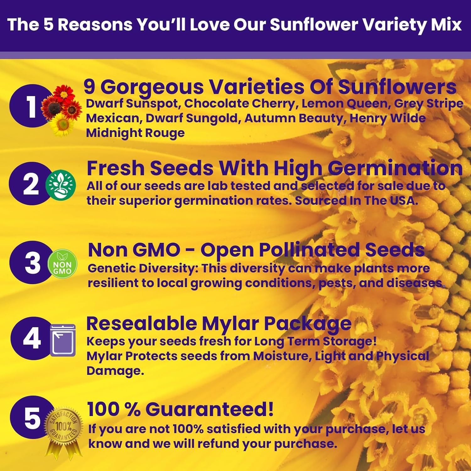 Colorful Sunflower Seeds Variety Pack