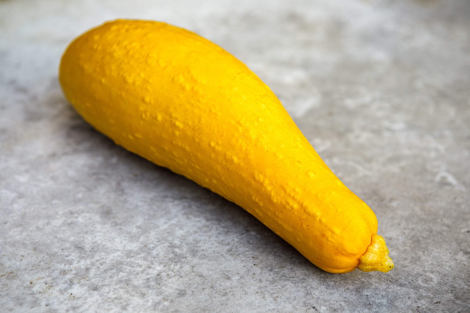 50 EARLY PROLIFIC STRAIGHTNECK SQUASH Yellow Summer Bush Heirloom Seeds