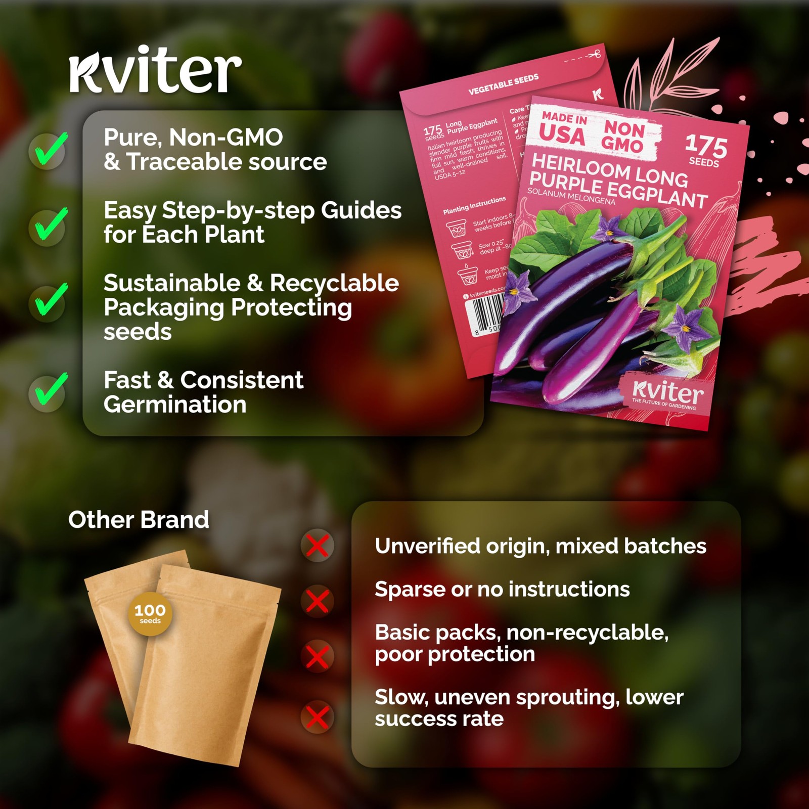 KVITER 175 Long Purple Eggplant Seeds (Solanum melongena)