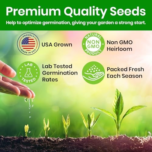 for Planting, Green Globe High Germination Rates, 1 Pack Artichoke Seeds