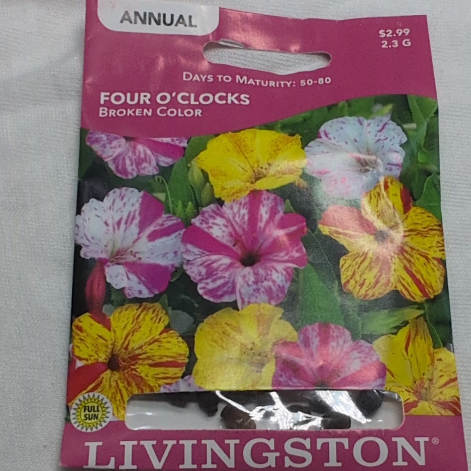 Livingston Four O’Clocks Annual Multicolor Fragrant Flower Seeds Full Sun Y1180
