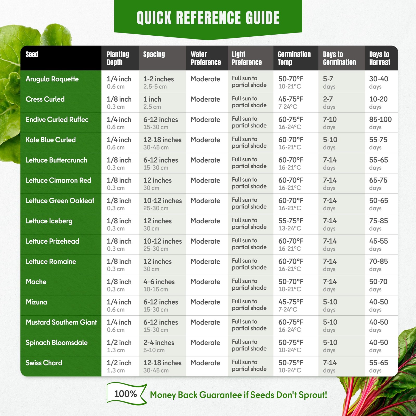 Diverse Salad Greens Seed Pack – Spinach, Kale, Arugula, Romaine, 7300+ NonGMO