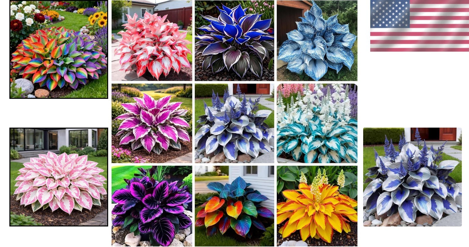 GMO Free 370+ Hosta Seeds – High Germination, Colorful Perennials for Any Garden