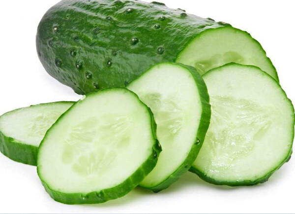 25+Spacemaster Cucumber Seeds Bush Cucumber Bush type Plant Container Garden USA